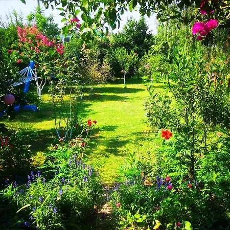 Villa Masal Evimiz *