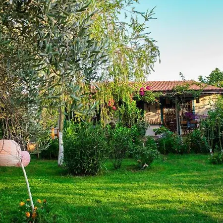 Masal Evimiz * Antalya