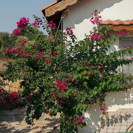 Masal Evimiz Villa *