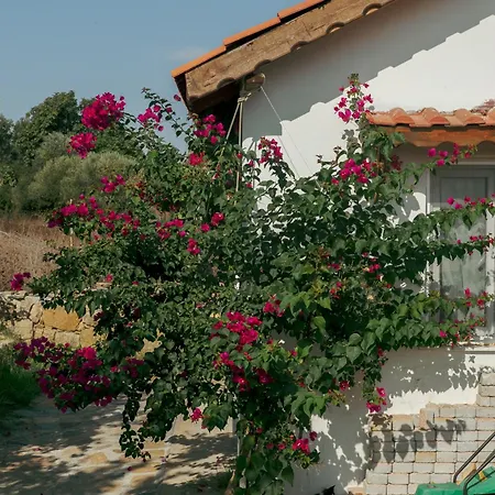 Masal Evimiz Antalya
