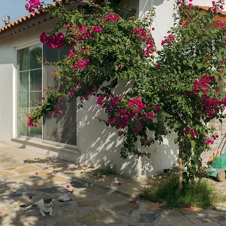 Villa Masal Evimiz *