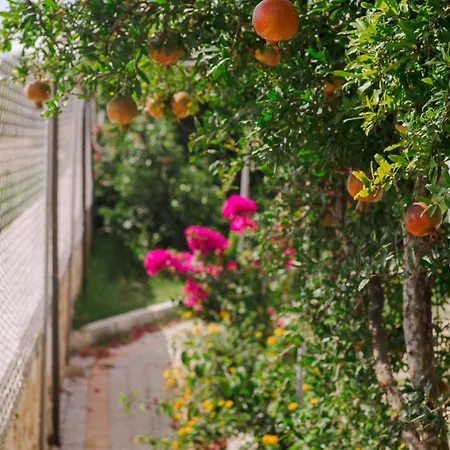 Masal Evimiz * Antalya