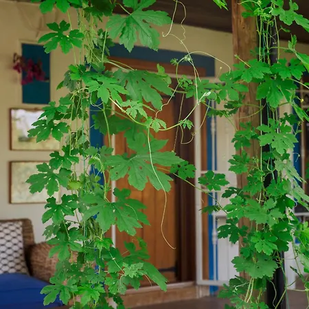 Masal Evimiz Antalya