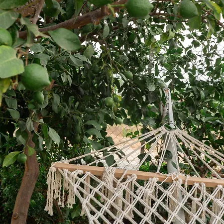 Masal Evimiz Villa Antalya