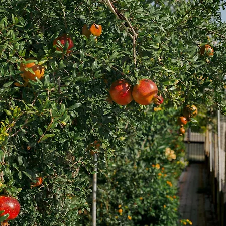 Masal Evimiz וילה