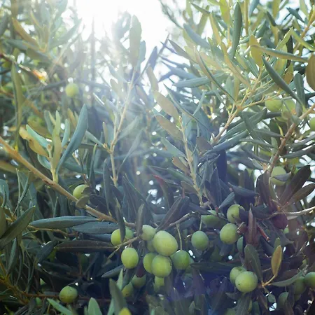 וילה Masal Evimiz